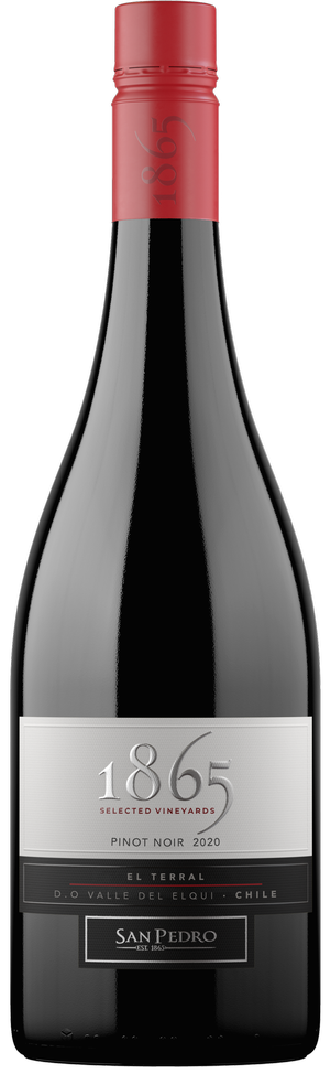 Bottle Pic