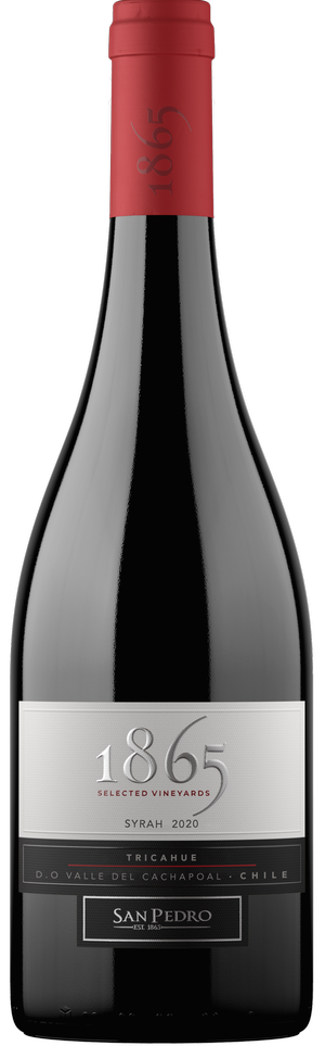 Bottle Pic